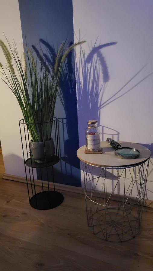 Apartament Wakacyjny Ines -Ustka-Na Wydmie,Samodzielne Zameldowanie,Garaz Do Dyspozycji Gosci Eksteriør billede